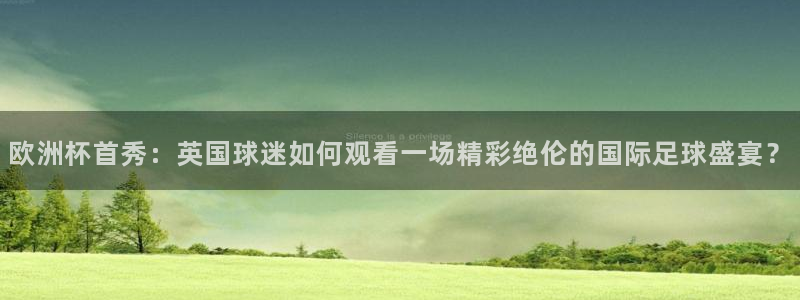 欧洲杯首秀：英国球迷如何观看一场精彩