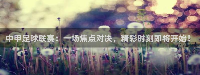 中甲足球联赛：一场焦点对决，精彩时刻