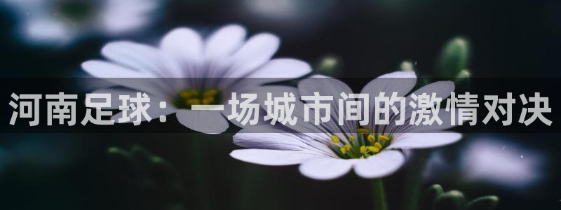 河南足球：一场城市间的激情对决