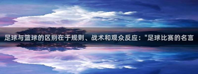 足球与篮球的区别在于规则、战术和观众反应：\