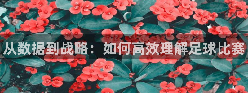  从数据到战略：如何高效理解足球比赛