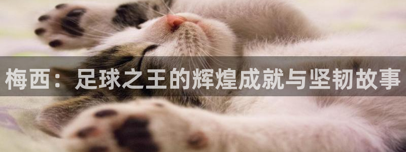 梅西：足球之王的辉煌成就与坚韧故事