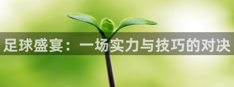 足球盛宴：一场实力与技巧的对决