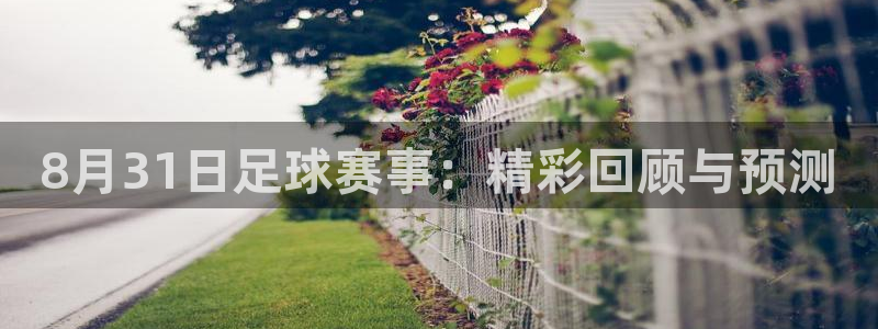  8月31日足球赛事：精彩回顾与预测