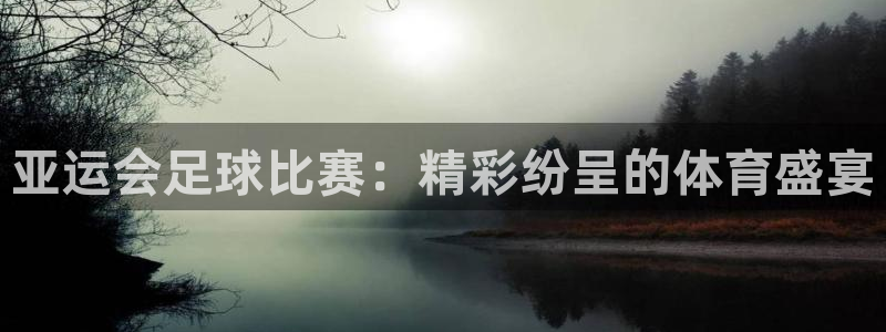 亚运会足球比赛：精彩纷呈的体育盛宴