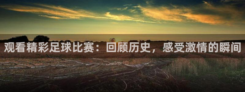  观看精彩足球比赛：回顾历史，感受激情的瞬间