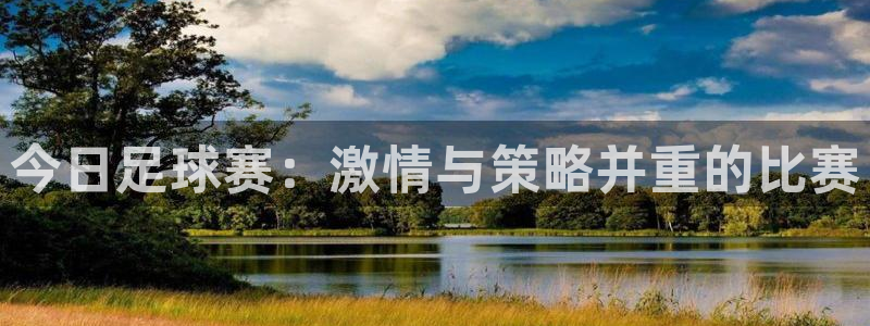  今日足球赛：激情与策略并重的比赛