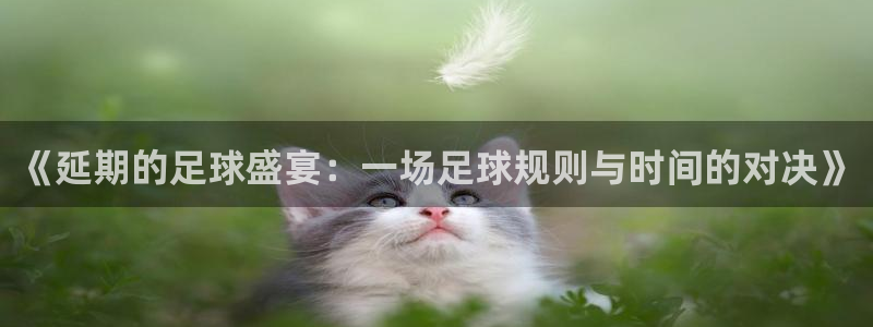 《延期的足球盛宴：一场足球规则与时间的对决》