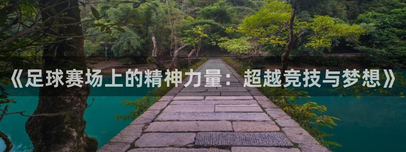 《足球赛场上的精神力量：超越竞技与梦