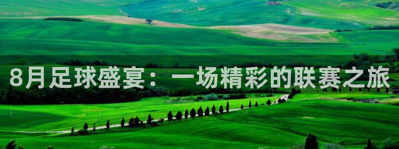 8月足球盛宴：一场精彩的联赛之旅