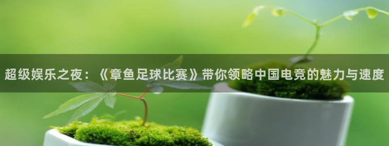 超级娱乐之夜：《章鱼足球比赛》带你领略中国电竞的魅力与速度