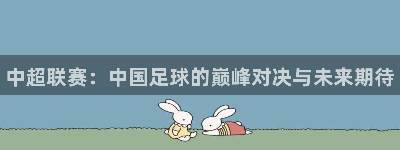 中超联赛：中国足球的巅峰对决与未来期待