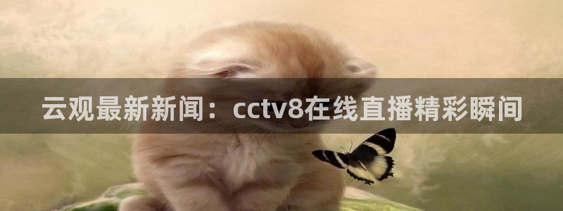 斗球体育直播app下载安装