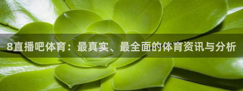 斗球直播官网入口