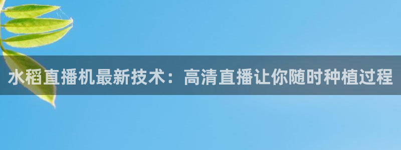 新闻图片