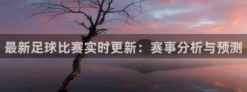 最新足球比赛实时更新：赛事分析与预测