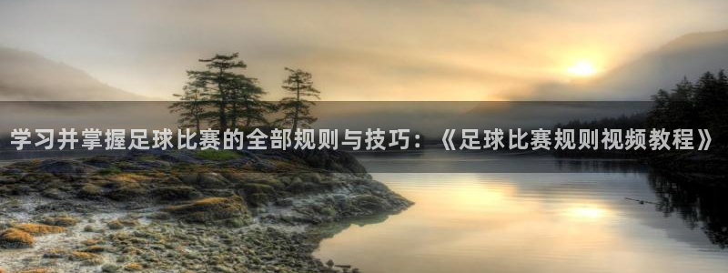 学习并掌握足球比赛的全部规则与技巧：