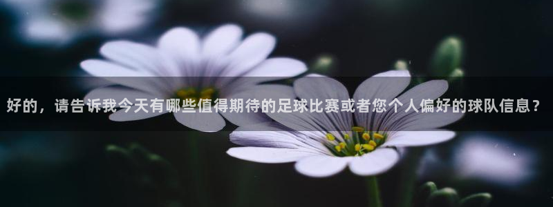 好的，请告诉我今天有哪些值得期待的足