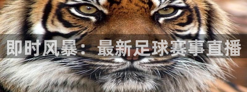 即时风暴：最新足球赛事直播