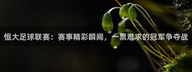 恒大足球联赛：赛事精彩瞬间，一票难求