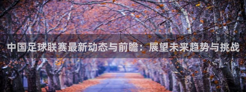 中国足球联赛最新动态与前瞻：展望未来