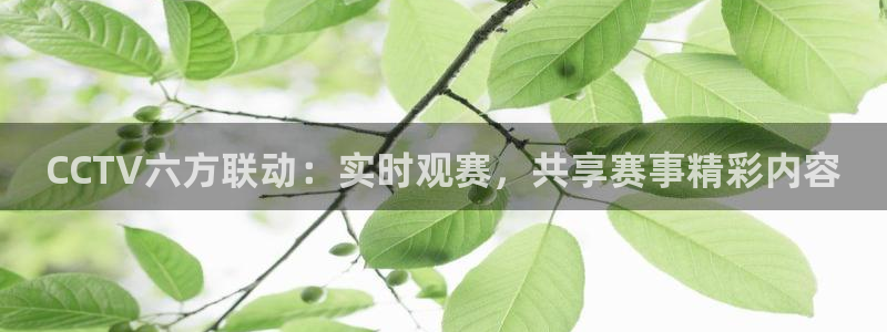 斗球tv：CCTV六方联动：实时观赛，共享赛事精彩内容