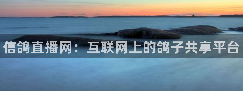 斗球直播在线观看：信鸽直播网：互联网上的鸽子共享平台