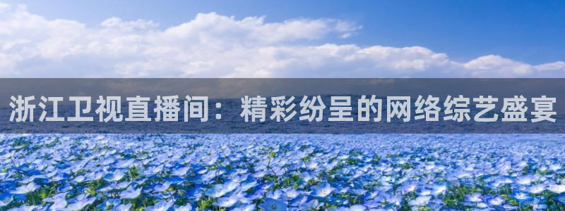 苹果斗球直播app下载：浙江卫视直播间：精彩纷呈的网络综艺盛宴