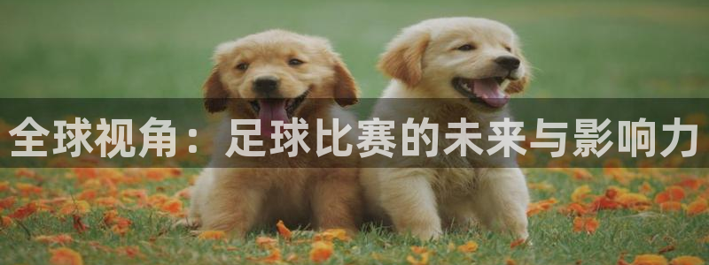 斗球体育下载：全球视角：足球比赛的未来与影响力